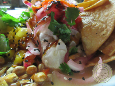 Costa Sur Wok & Ceviche Bar